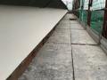 IMG_4256-min